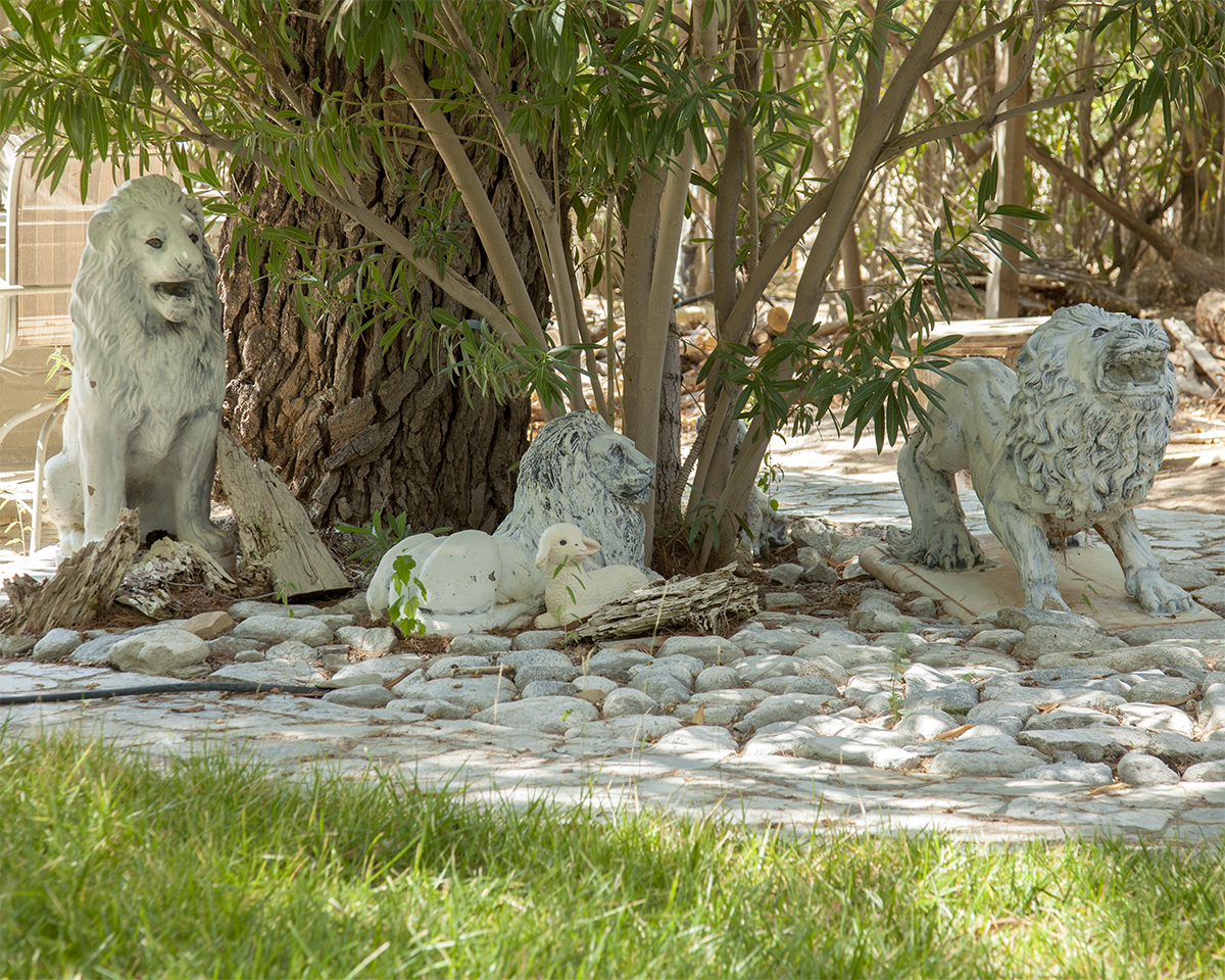 Resting lion family statues