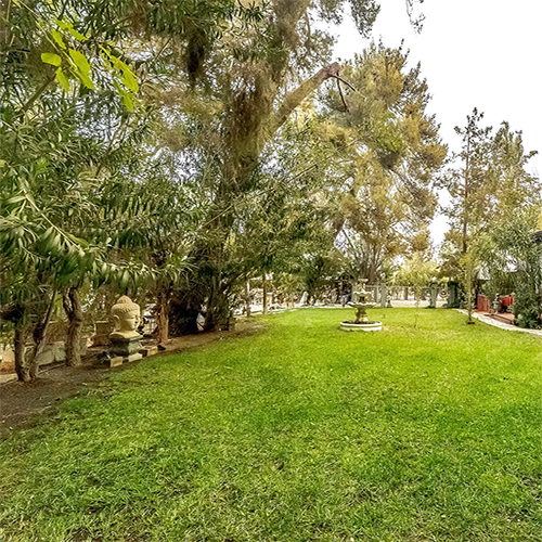 Lawn view from the south