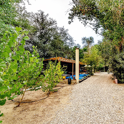 View from orchards to Tea House