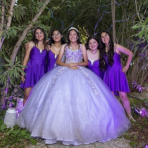 The Quinceañera and Her Damas