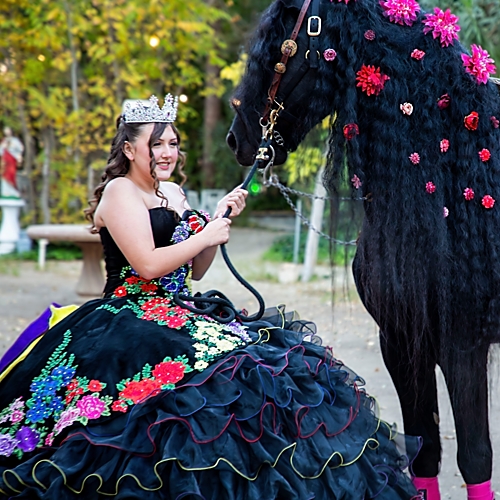 The Quinceañera and Her Horse