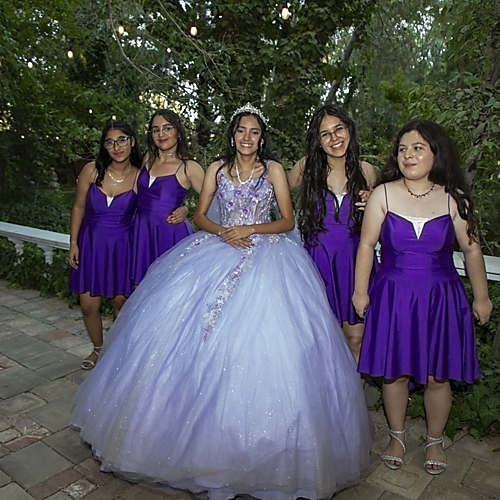 The Quinceañera and Her Damas